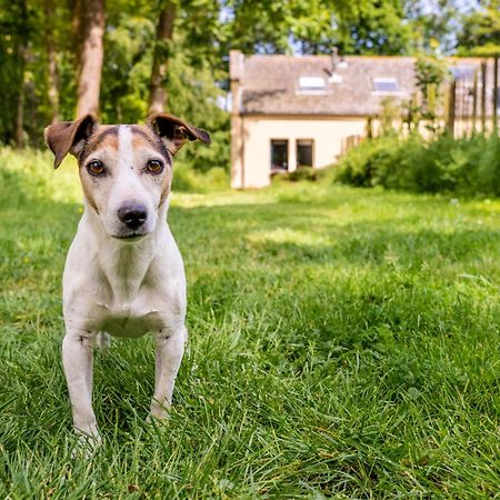 Buitenplaats Iepenoord Oostkapelle Exteriér fotografie