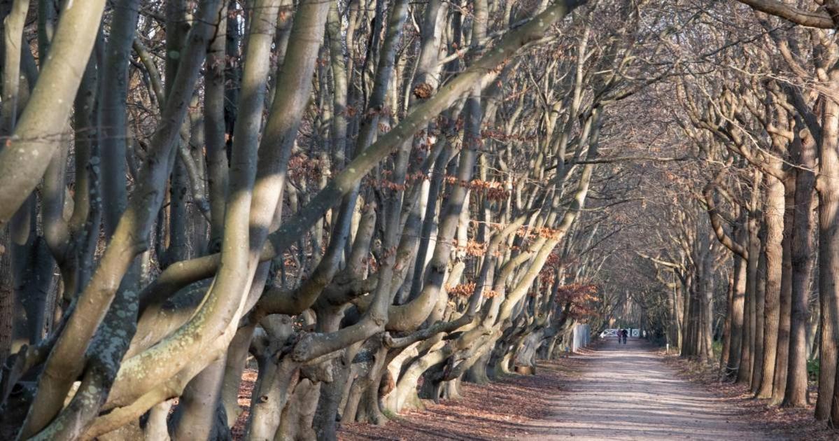 Buitenplaats Iepenoord Oostkapelle Exteriér fotografie